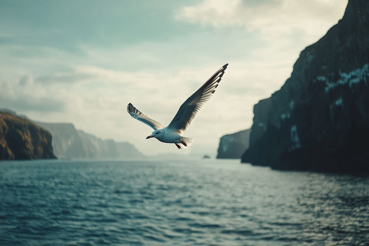 Décryptage des messages profonds dans le livre Le Goéland de Jonathan Livingston